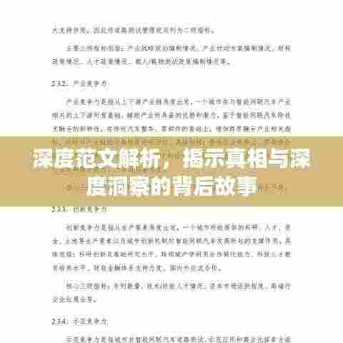 深度范文解析，揭示真相与深度洞察的背后故事