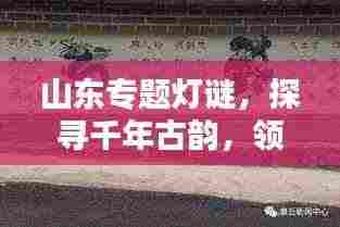 山东专题灯谜，探寻千年古韵，领略独特文化魅力