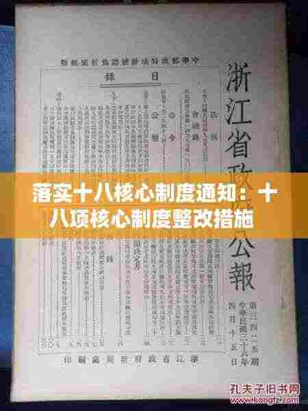 落实十八核心制度通知：十八项核心制度整改措施 