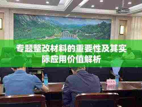 专题整改材料的重要性及其实际应用价值解析
