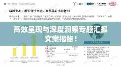高效呈现与深度洞察专题汇报文案揭秘！