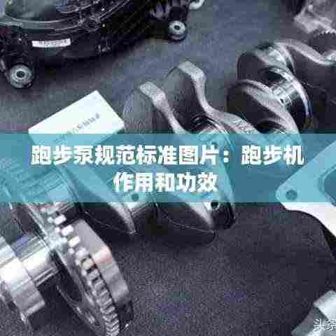 跑步泵规范标准图片：跑步机作用和功效 