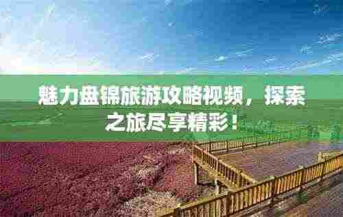 魅力盘锦旅游攻略视频，探索之旅尽享精彩！