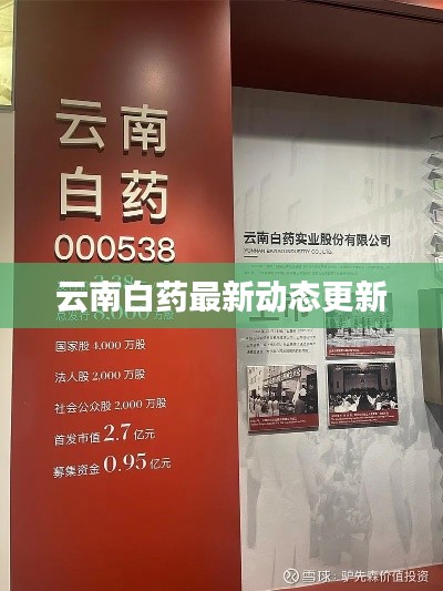 云南白药最新动态更新