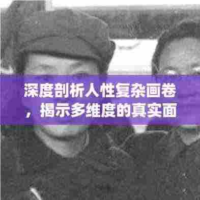 深度剖析人性复杂画卷,揭示多维度的真实面貌