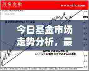今日基金市场走势分析，最新报价与投资建议全解析