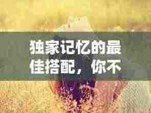 独家记忆的最佳搭配，你不得不看！