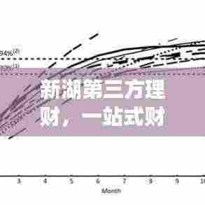 新湖第三方理财，一站式财富管理，打造您的理想投资新选择！