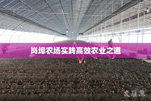岗埠农场实践高效农业之道