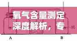 氧气含量测定深度解析，专业方法与实用技巧