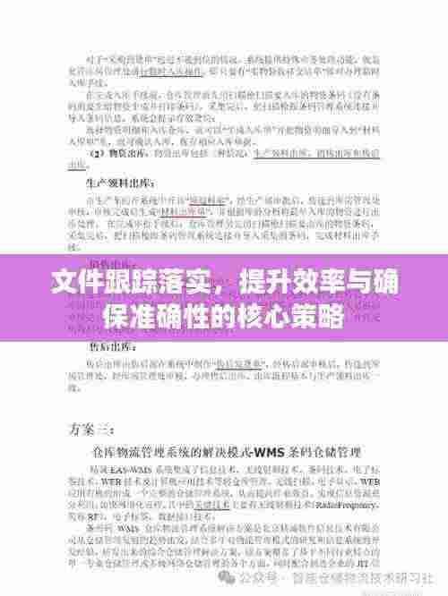 文件跟踪落实，提升效率与确保准确性的核心策略