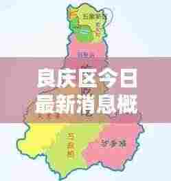 良庆区今日最新消息概览