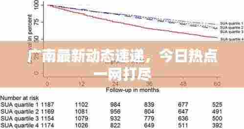 广南最新动态速递，今日热点一网打尽