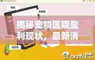 揭秘宠物医院盈利现状,最新消息分析,老板赚钱真相揭秘!