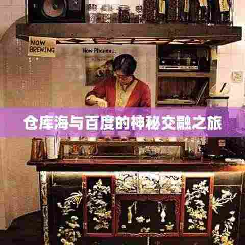 仓库海与百度的神秘交融之旅