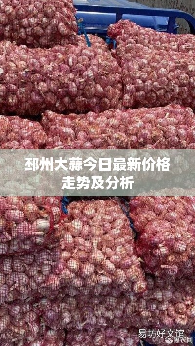 鞭驽策蹇 第4页