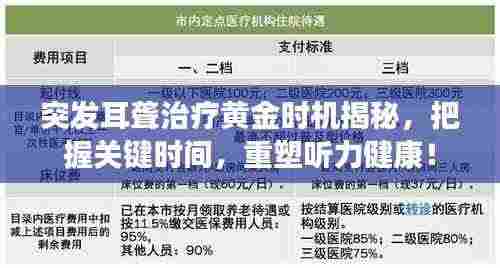 突发耳聋治疗黄金时机揭秘，把握关键时间，重塑听力健康！