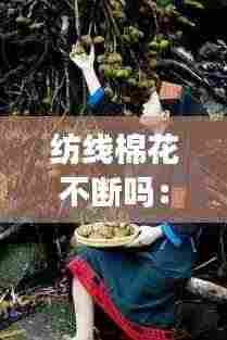 纺线棉花不断吗：纺织棉花 