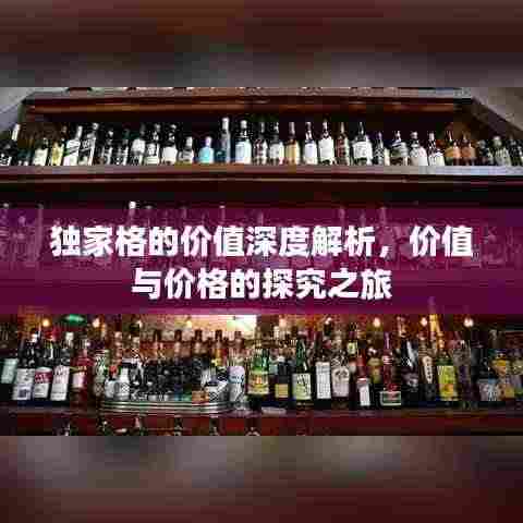 独家格的价值深度解析，价值与价格的探究之旅