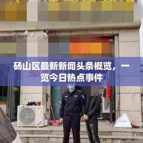 砀山区最新新闻头条概览，一览今日热点事件