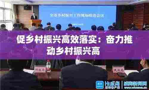 促乡村振兴高效落实：奋力推动乡村振兴高 