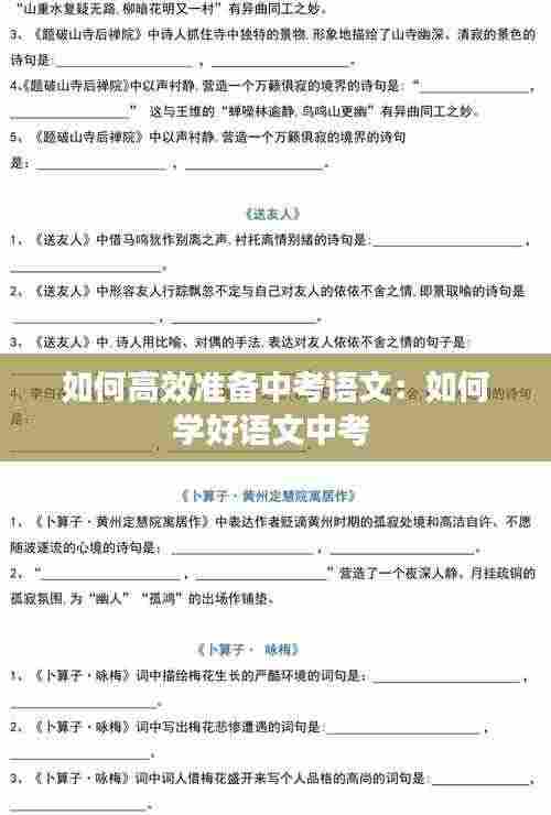 如何高效准备中考语文：如何学好语文中考 