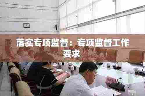 落实专项监督：专项监督工作要求 