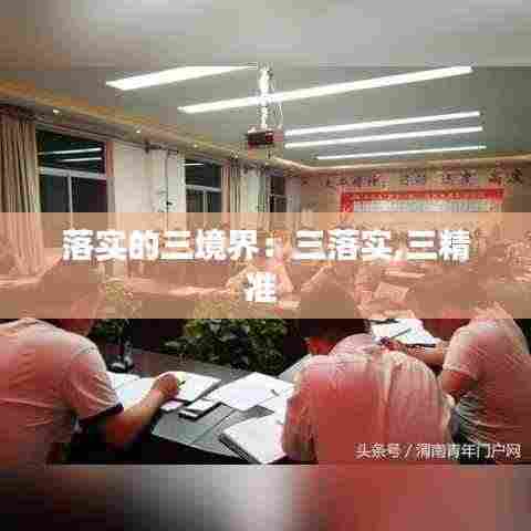 落实的三境界：三落实,三精准 