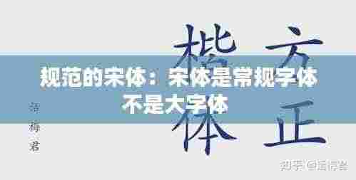 规范的宋体：宋体是常规字体不是大字体 