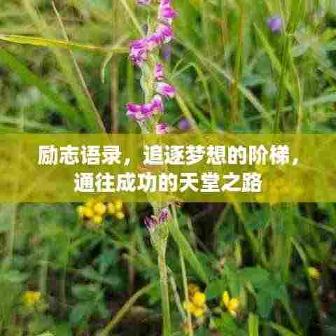 励志语录，追逐梦想的阶梯，通往成功的天堂之路