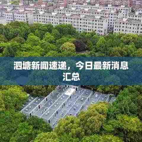 泗塘新闻速递，今日最新消息汇总