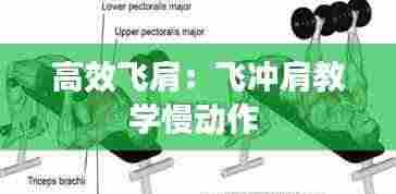 高效飞肩：飞冲肩教学慢动作 