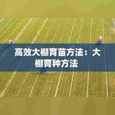 高效大棚育苗方法：大棚育种方法 