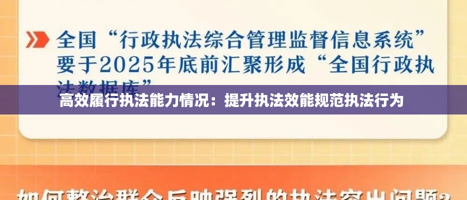 高效履行执法能力情况：提升执法效能规范执法行为 
