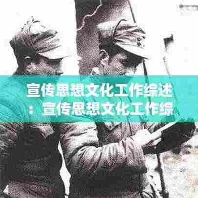 宣传思想文化工作综述：宣传思想文化工作综述 兵团 