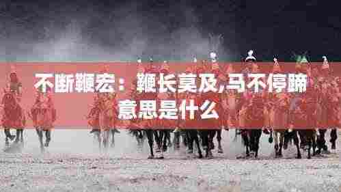 不断鞭宏：鞭长莫及,马不停蹄意思是什么 