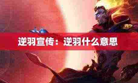 逆羽宣传：逆羽什么意思 