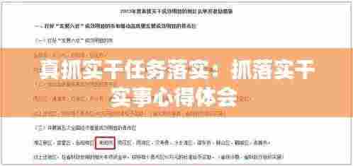 真抓实干任务落实：抓落实干实事心得体会 