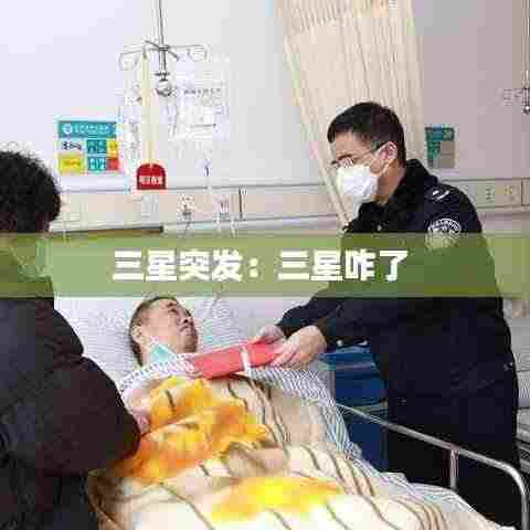 鸟穷则啄 第3页