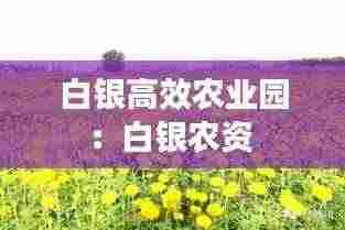 白银高效农业园：白银农资 