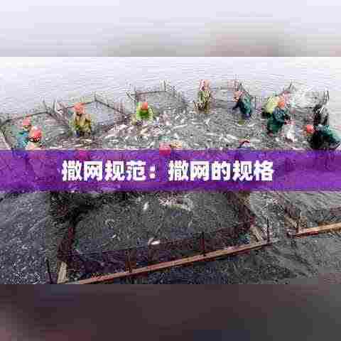 撒网规范：撒网的规格 