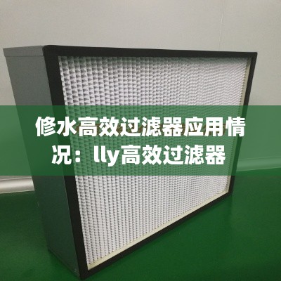 修水高效过滤器应用情况：lly高效过滤器 