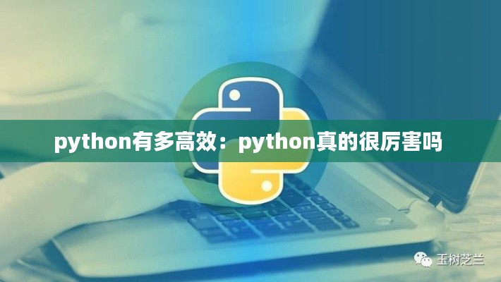 python有多高效：python真的很厉害吗 
