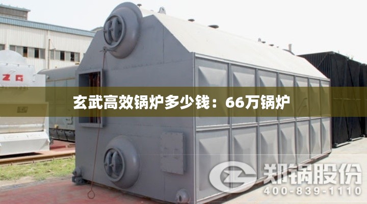 玄武高效锅炉多少钱：66万锅炉 