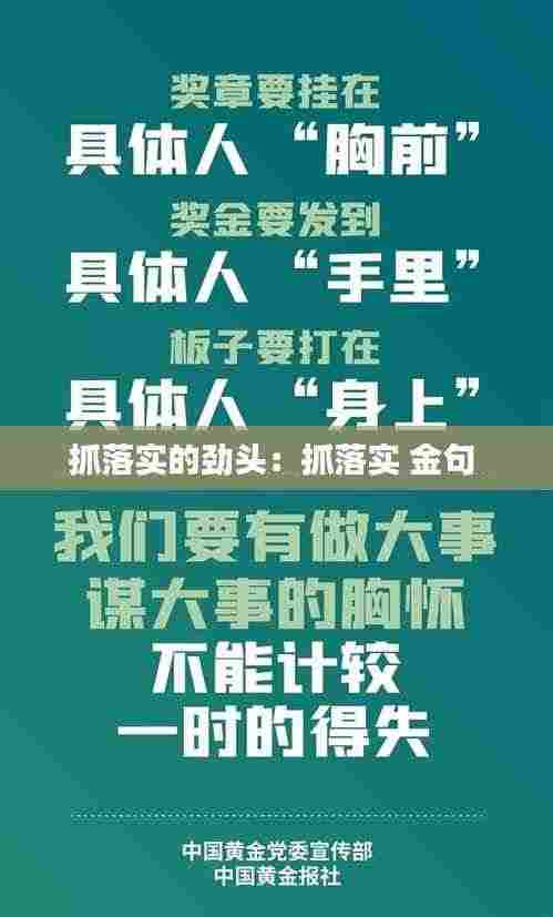 抓落实的劲头：抓落实 金句 