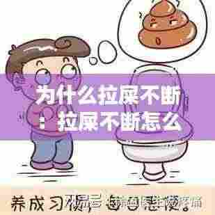 为什么拉屎不断：拉屎不断怎么办 