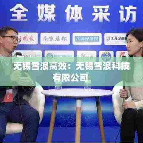 无锡雪浪高效：无锡雪浪科技有限公司 