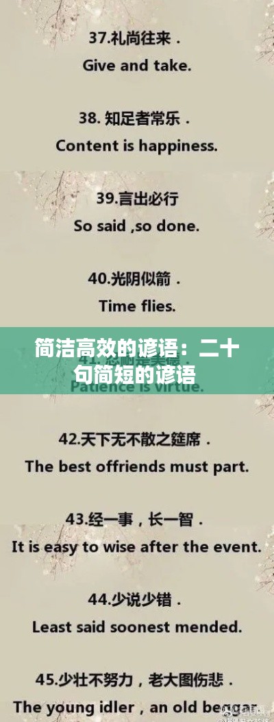 简洁高效的谚语：二十句简短的谚语 