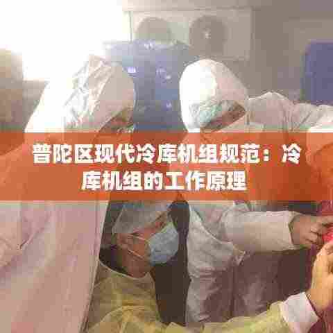 螓首蛾眉 第4页