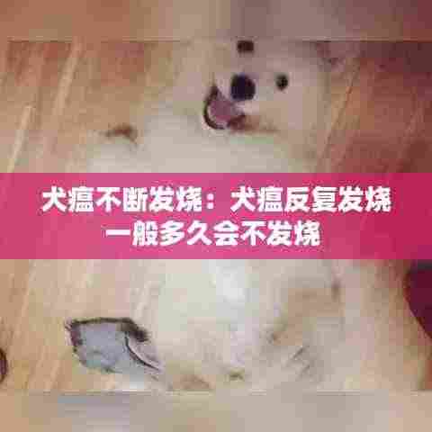 瑞雪飞舞 第4页